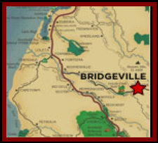 03230604_bridgeville_california_auctioned_on_ebay_again001002.jpg